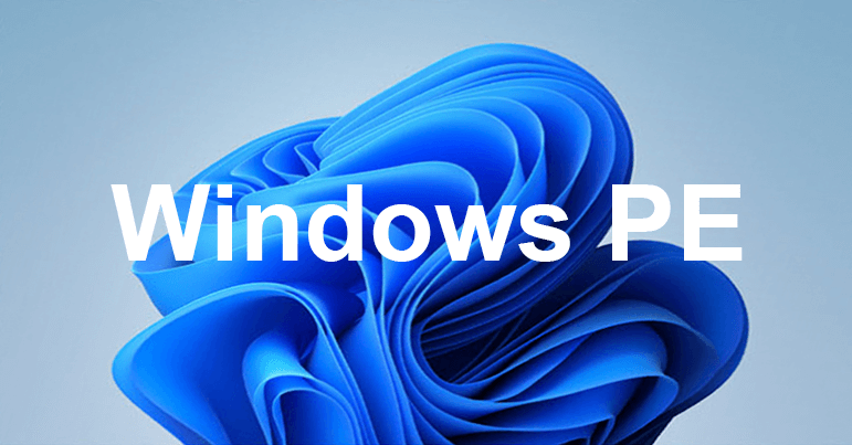 Windows PE Installation Guide
